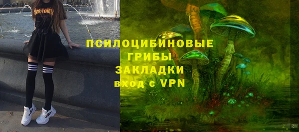 не бодяженный Верхний Тагил